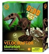 Geoworld Dinosaur Skeleton Excavation Kit - Velociraptor