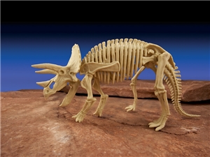 Ultimate Dino Dig - Triceratops