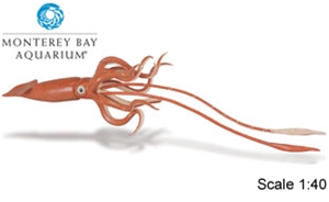 Giant Squid Monterey Bay Toy Model