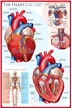 The Hear Poster