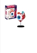 4D Vision Anatomy Model - Eyeball