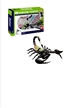 4D Vision Anatomy Model - Scorpion