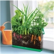 Deluxe Root Viewer, gardening toy, gardening kit, kids gardening kit, root viewer kit, toysmith root