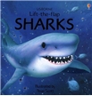 Lift-the-Flap Sharks Book