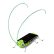 Frightened Grasshopper Solar Science Kit