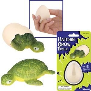 Hatchin' Grow Turtle