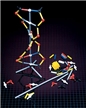 DNA Model Kit- Single