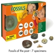 Geoworld Fossils - Testimonies of The Past
