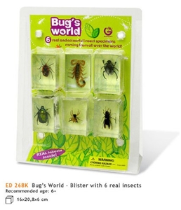 Geoworld Bug's World - Blister 6 Real insects