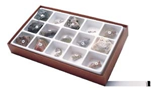 General Fossil Collection 