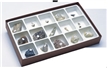 Paleozoic Fossils Sience Collection
