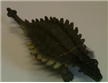 Hard Plastic Ankylosaurus Dinosaur Toy Model