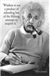 Einstein - Wisdom Poster