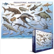 Prehistoric Marine Life puzzle