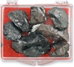Coal To Go- Christmas Gag Gift