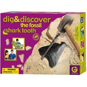 GeoWorld Dig and Discover - Shark Tooth