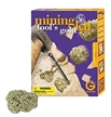 GeoWorld Mining Kit - Fool's Gold