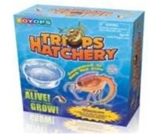 Triops Hatchery