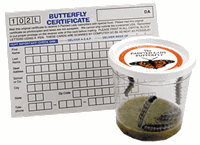 Certificate for Live Butterflies