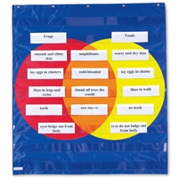 Graphic Organizer Pocket Chart 