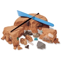 dinosaur bone fossil rock