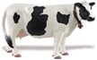 Wild Safari Barnyard Buddies - Holstein Cow