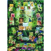 Tropical Rainforests Poster - climate poster - jungle poster