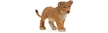 Wild Safari Wildlife Angolan Lion Cub, Safari Angolan Lion Cub, Wildlife Lion Cub, Angolan Lion Cub 