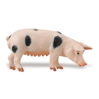 Safari Gloucester Sow Model Toy, Pig toy, Pig model, kids plastic Pig replica, wild safari animal