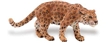 Wild Safari Wildlife Jaguar, Wildlife Jaguar, Safari Jaguar, Jaguar Toy, Jaguar Model, Safari Wildli