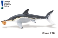 Ichthyosaurus Carnegie Collection Dinosaur Toy