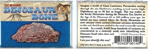 Real Dinosaur Bone in Collection Box