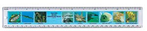 Sealife Ruler