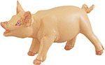 Safari Farm Classic Piglet Model Toy , little pig toy, small pig toy, mini pig toy, pig model, plast