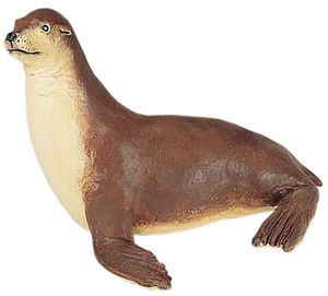 Wild Safari Sealife Sea Lion Model Toy Model