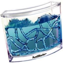 Ant Works Kit NASA Gel