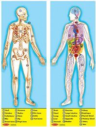 Melissa and Doug Human Anatomy Extra Large Floor Puzzle 100 Pieces