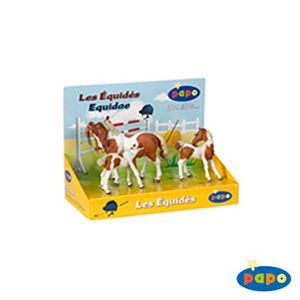 Papo Pinto Horses Display Box