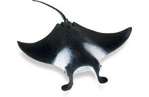 Wild Safari Sealife Manta Ray Toy Model