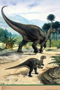 Iguanodon and Baby Poster-Laminated Rolled and Sleeved