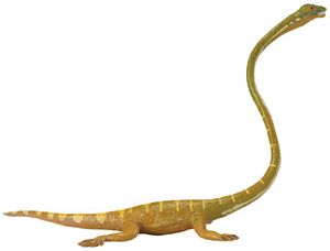 Tanystropheus Carnegie Collection Toy Model, dinosaur toys, dinosaur toy, dinosaur model
