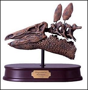 Stegosaurus Dinosaur Skull Model