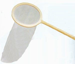 Butterfly Net - Bug Catcher - Wood Handle