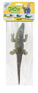 Ginormous Grow Crocodile, magic growing toy animal, crocodile toy, grow toy, crocodile grow toy