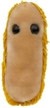Giant Microbes Plush - Stomach Ache