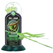 Glow-In-the-Dark Test-Tube Pteranodon Dinosaur Skeleton Toy