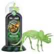 Glow-In-the-Dark Test-Tube Triceratops Dinosaur Skeleton Toy