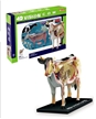 4D Vision Anatomy Model Kit, Animal Anatomy Models, Tedco Toys, 4D Vision