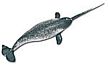 Narwhal Monterey Bay Aquarium Model Toy