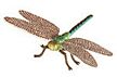 Hidden Kingdom Dragonfly Insect Toy Model, bug toys, insect toys, insect models. dragon fly toy